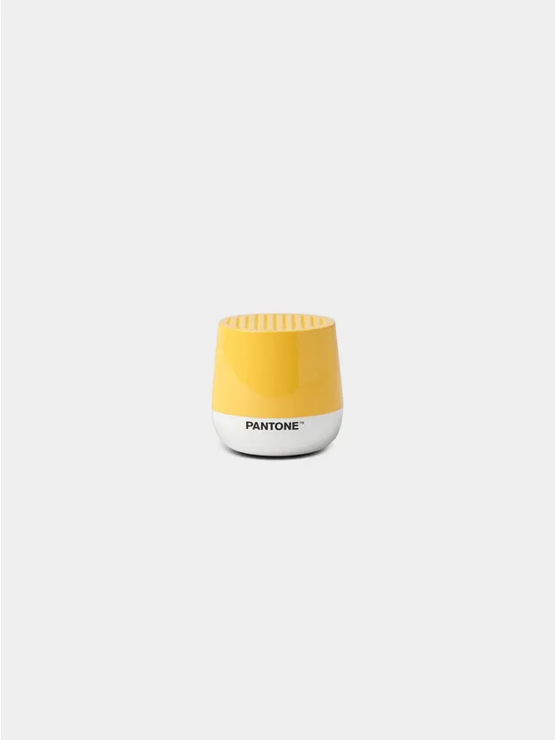 Mimosa PANTONE